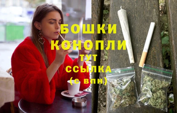 гидропоника Белокуриха