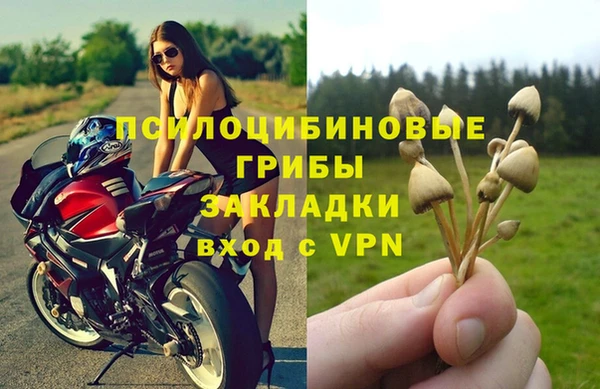 гидропоника Белокуриха