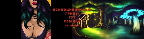 прущие грибы Беломорск