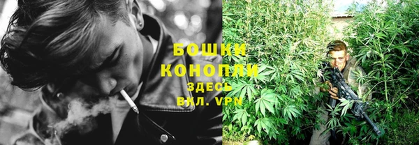 гидропоника Белокуриха