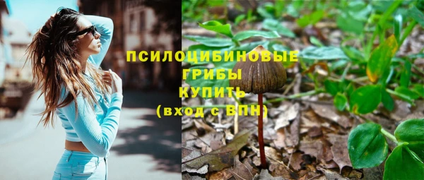 гидропоника Белокуриха