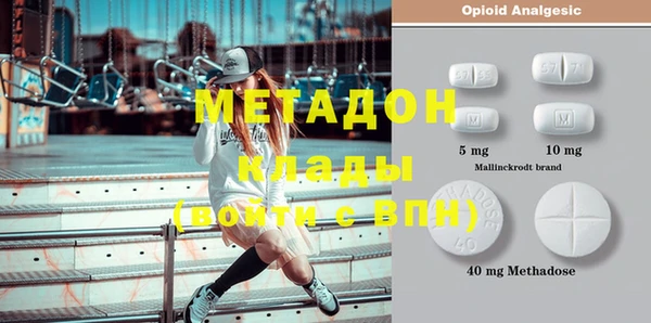 прущие грибы Беломорск